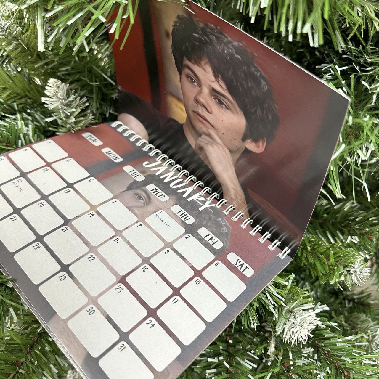 Dylan O Brient 2026 Calendar Dylan O Brient 2026 Calendar