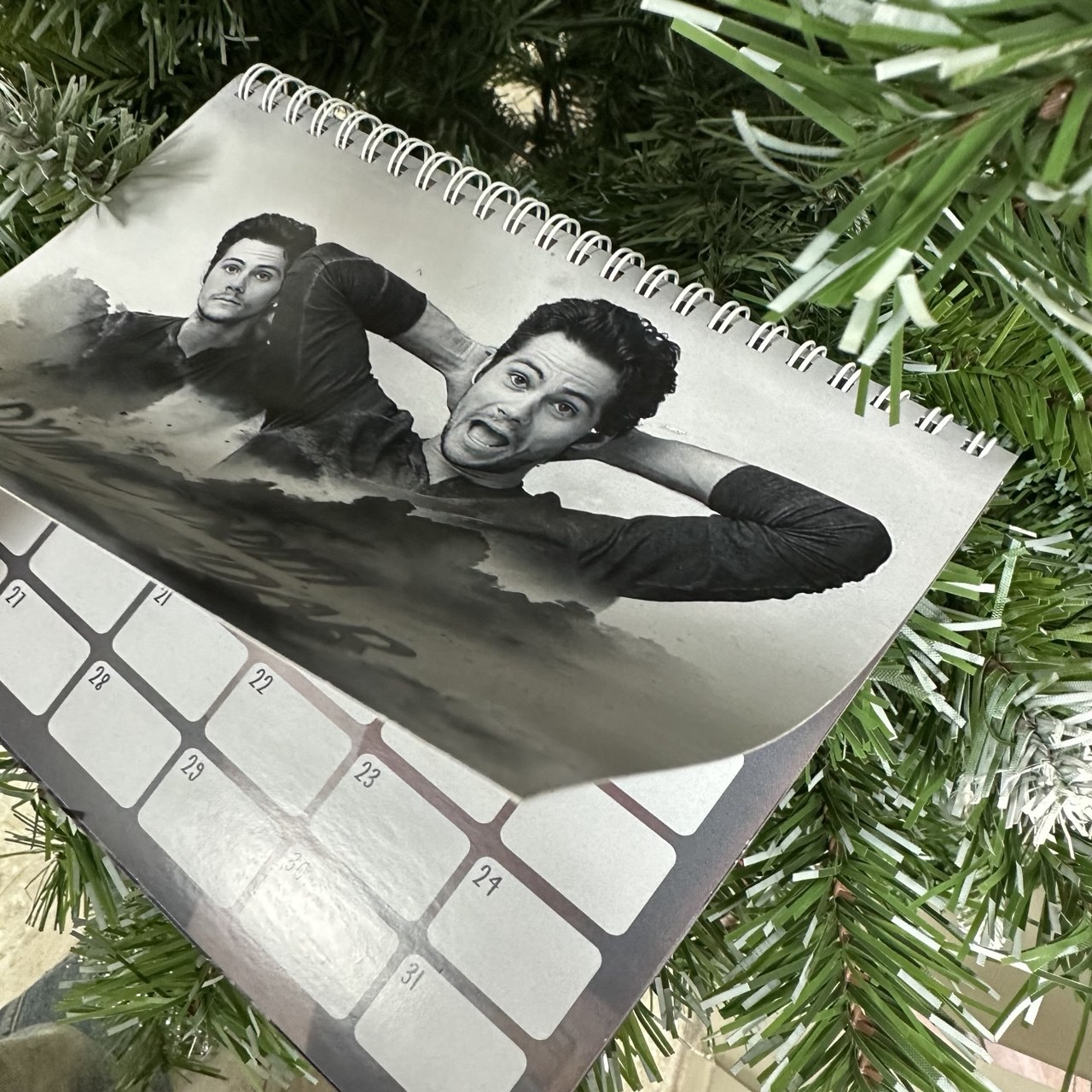 Dylan O Brient 2026 Calendar Dylan O Brient 2026 Calendar